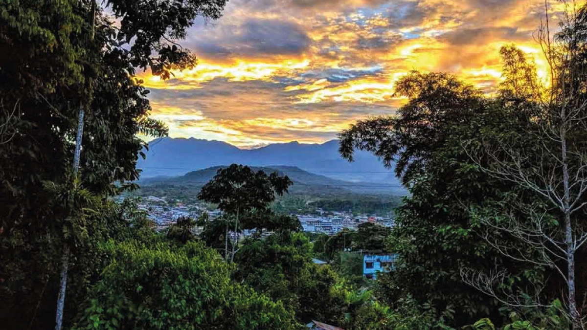 impulsa el desarrollo